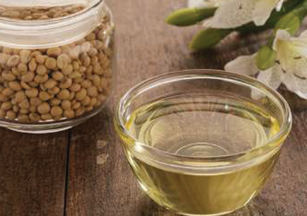 refined soya oil