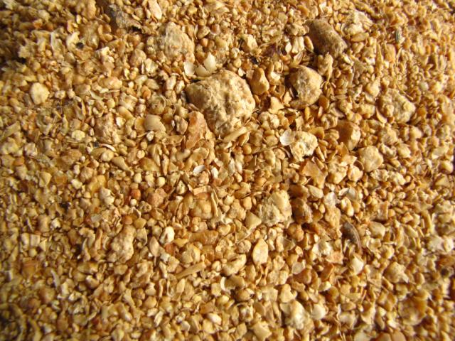 Liv® Normal Soya Meal
